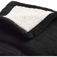 Micro Sherpa Blanket
