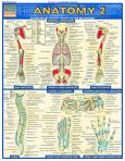 Anatomy 2 (ebook)