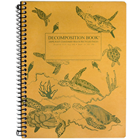 Michael Roger Sea Turtles Decomposition Book
